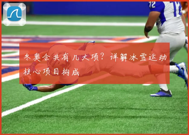 冬奥会共有几大项？详解冰雪运动核心项目构成