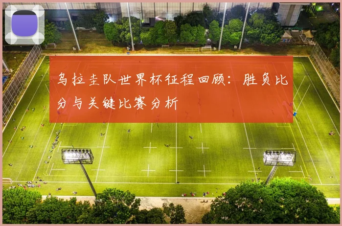 乌拉圭队世界杯征程回顾：胜负比分与关键比赛分析