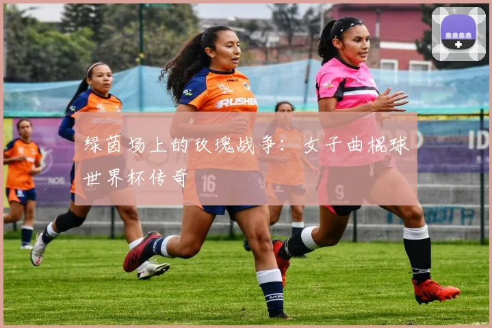 绿茵场上的玫瑰战争：女子曲棍球世界杯传奇