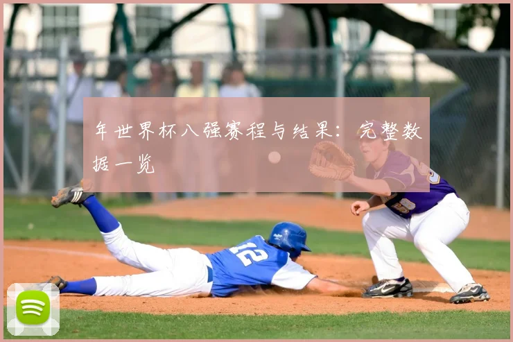 年世界杯八强赛程与结果：完整数据一览