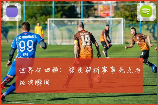 世界杯回顾：深度解析赛事亮点与经典瞬间